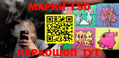 индика Гай