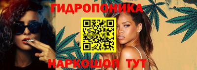 индика Гай