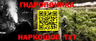 индика Гай