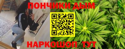 индика Гай