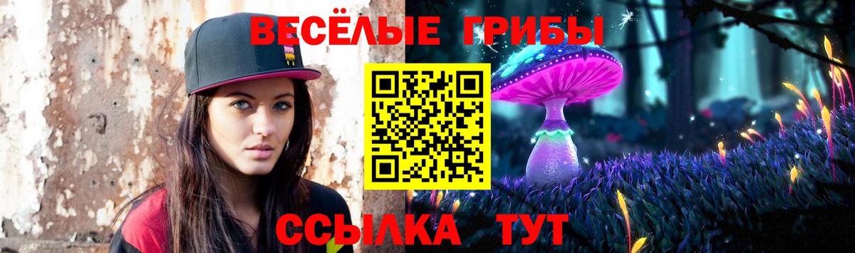 Псилоцибиновые грибы Psilocybe Лесозаводск