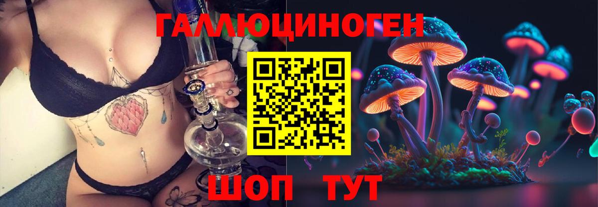 Лесозаводск  Псилоцибиновые грибы Psilocybe  Вход с VPN 